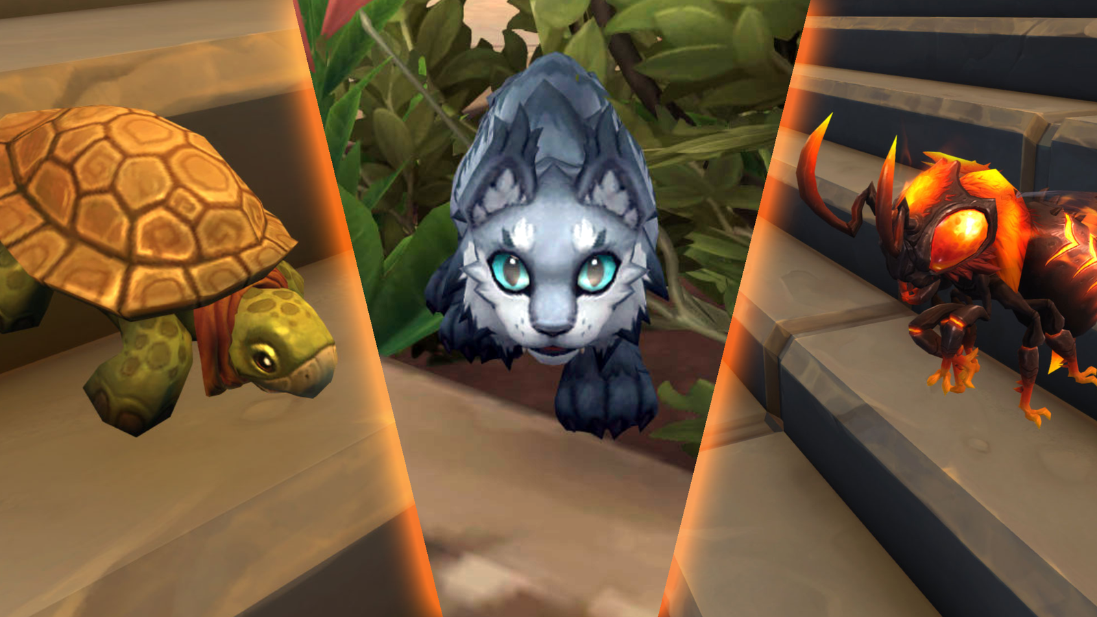 WoW TWW Best Pets War Within Battle Pet