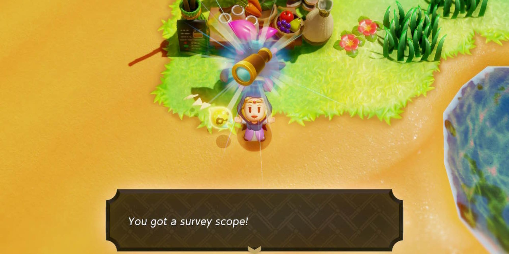 zelda echoes of wisdom survey scope