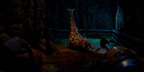 The player shining a flashlight at a giraffe with its back turned