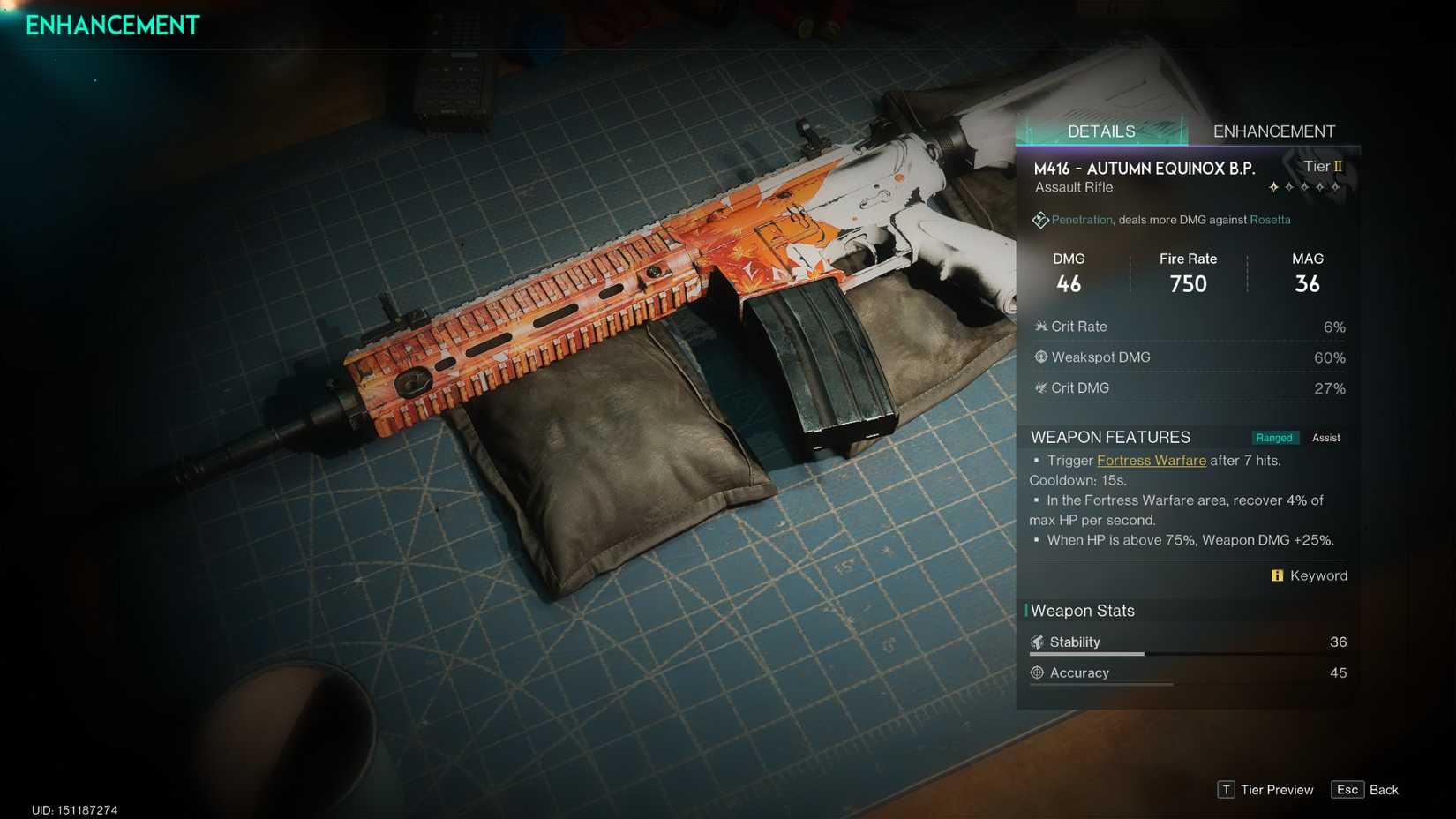 The M416 Autumn Equinox's description in Once Human