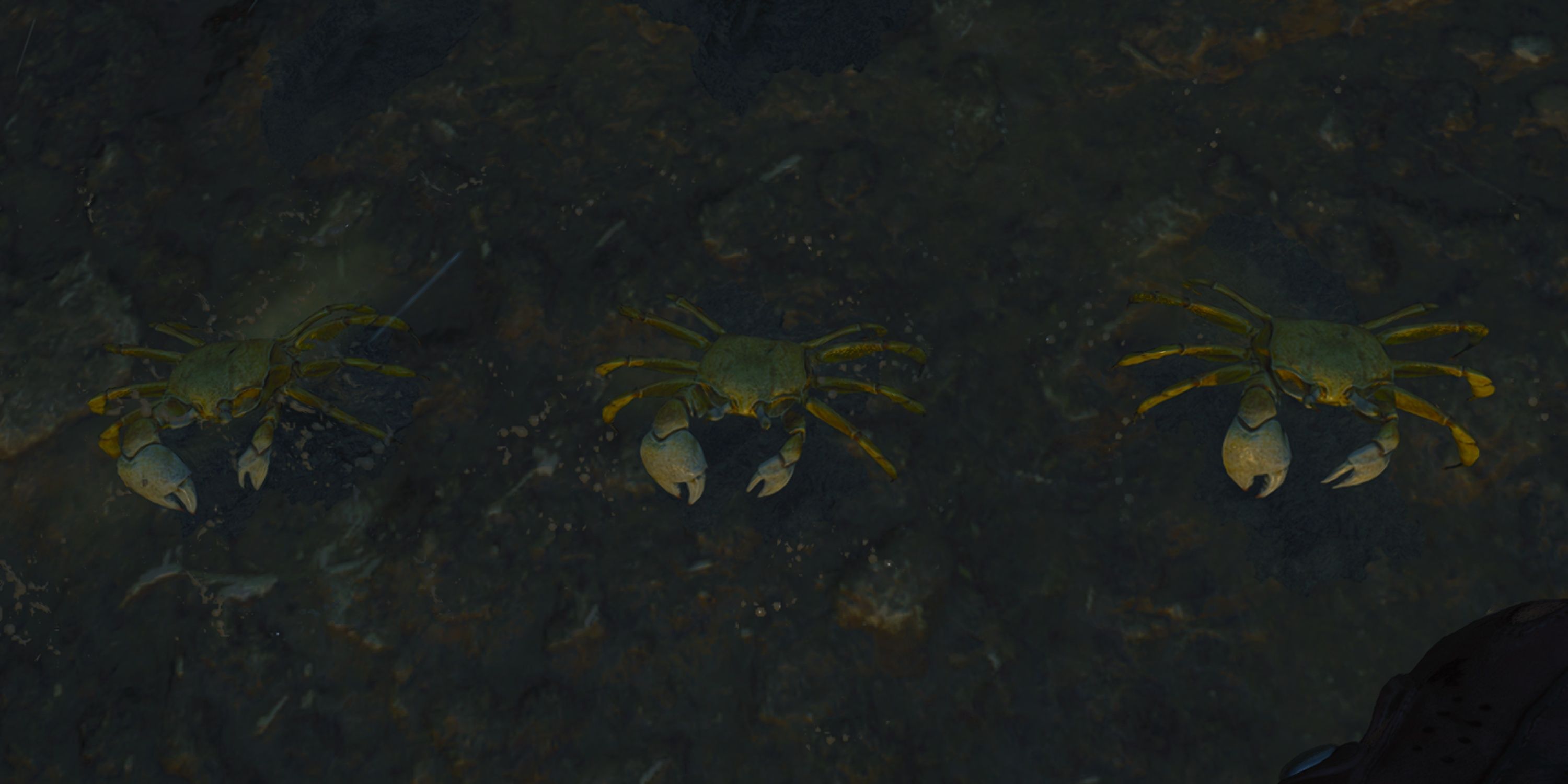 Black Ops 6: How to Find the Crab Minigame