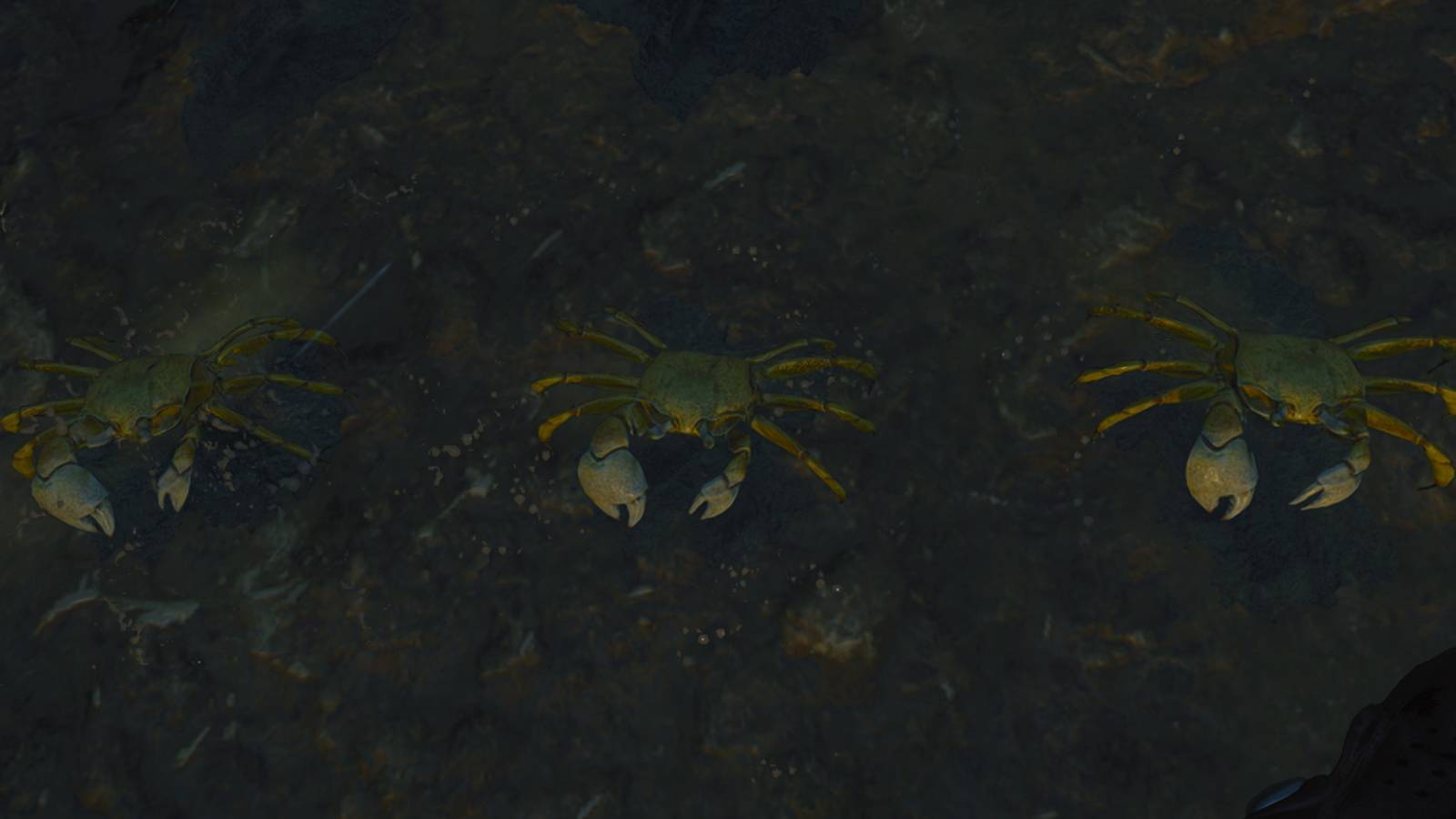 3 crabs from terminus island