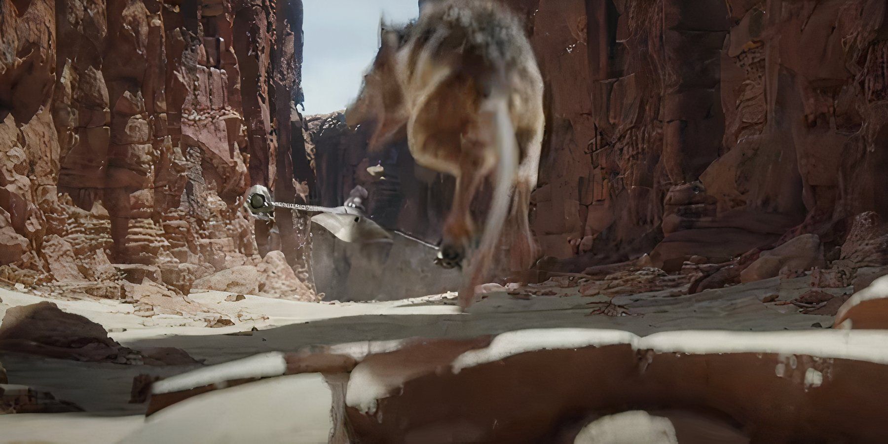 Star Wars: What Are Womp Rats?