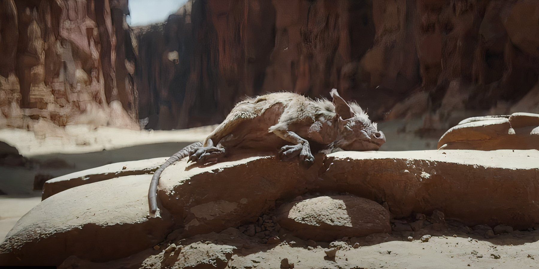 Star Wars: What Are Womp Rats?