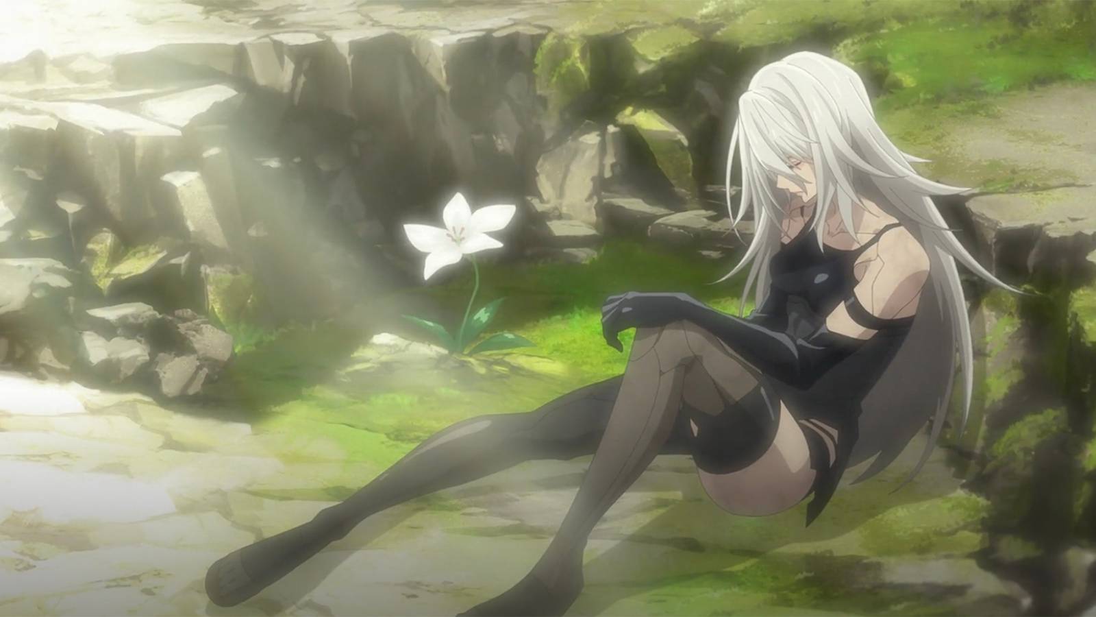a2 and lunar flower
