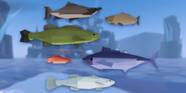 Fisch Rezepte Suchen Fisch Rezepte Suchen