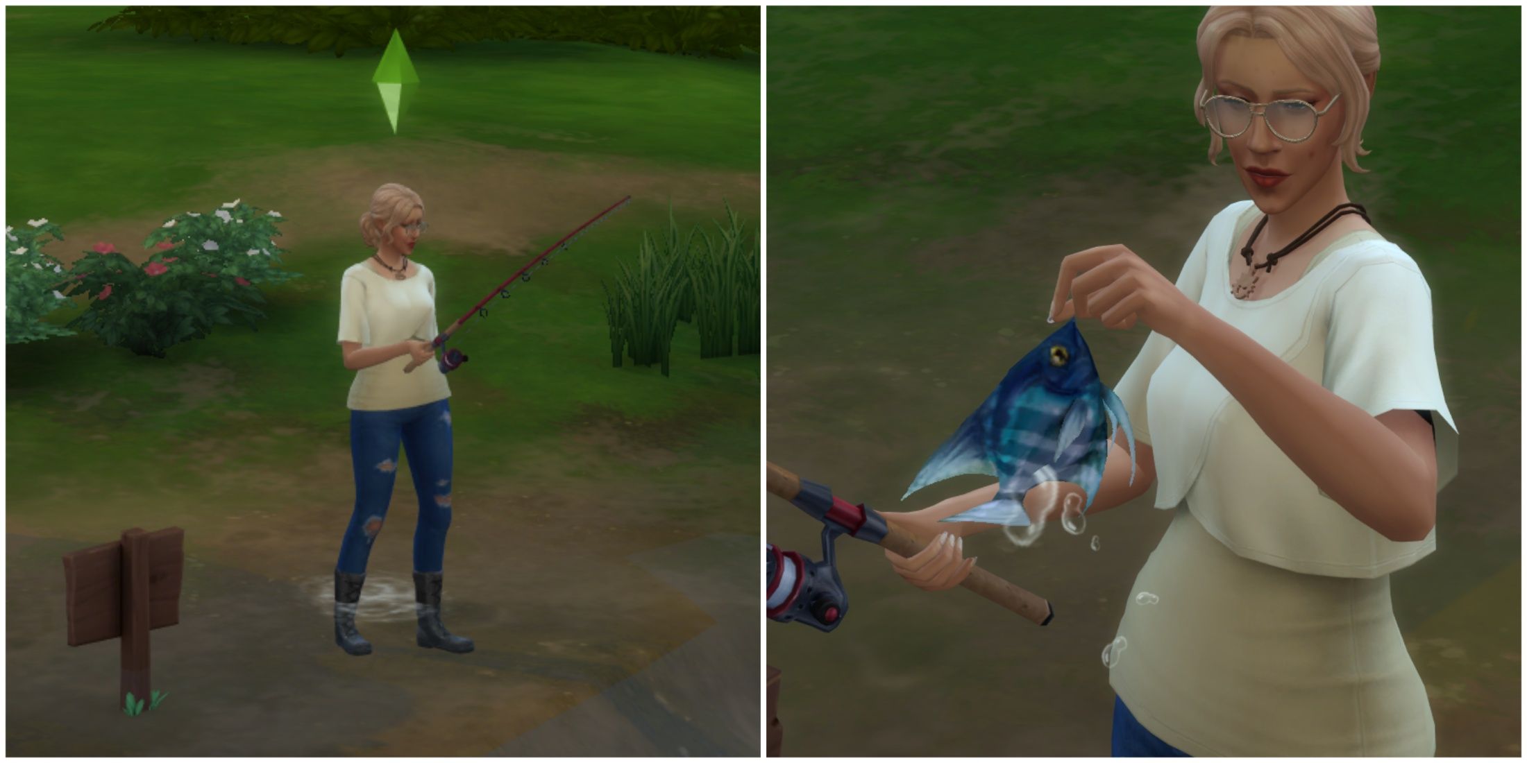 How to Catch Angelfish in The Sims 4