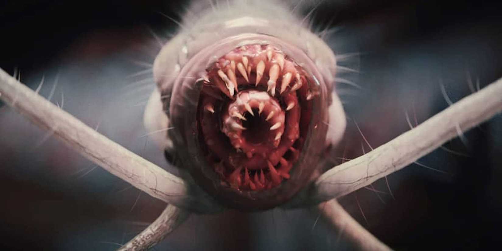 Baldur's Gate 3 Mind Flayer Illithid Tadpole Parasite (1) Cropped