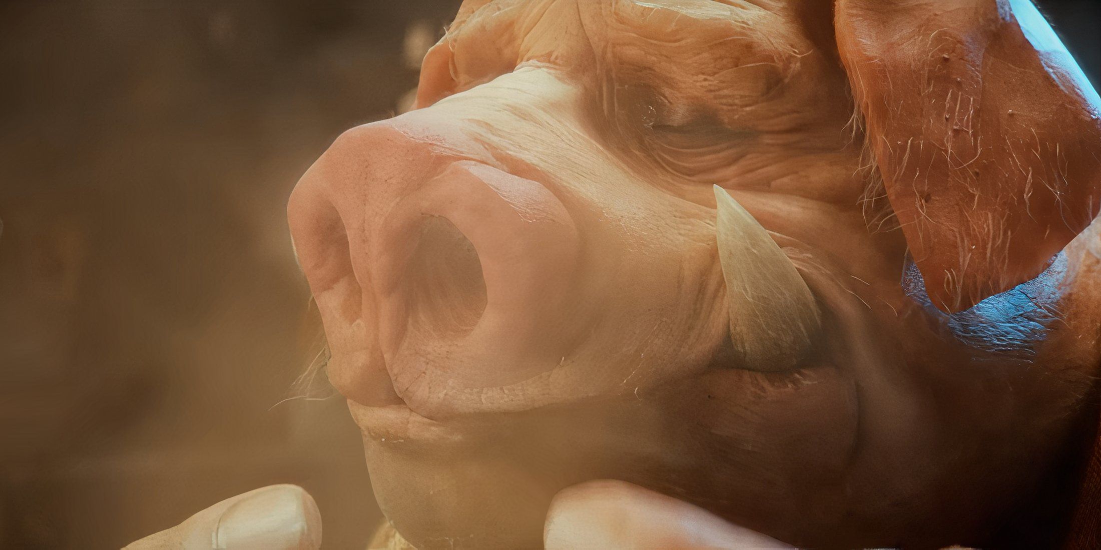 Ubisoft Has Good News for Beyond Good and Evil 2 Fans