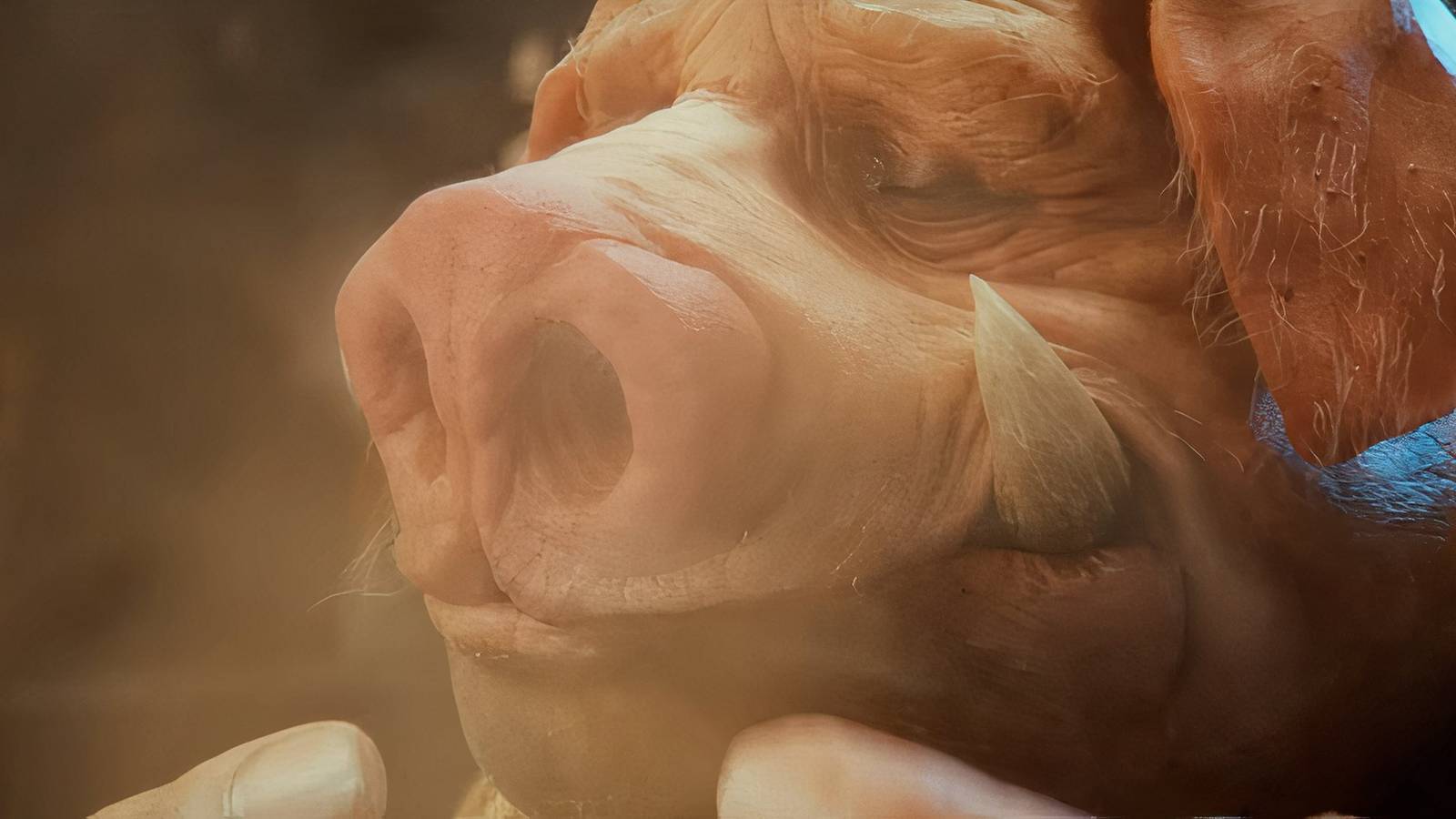 Beyond Good and Evil 2 Pey'j smiling