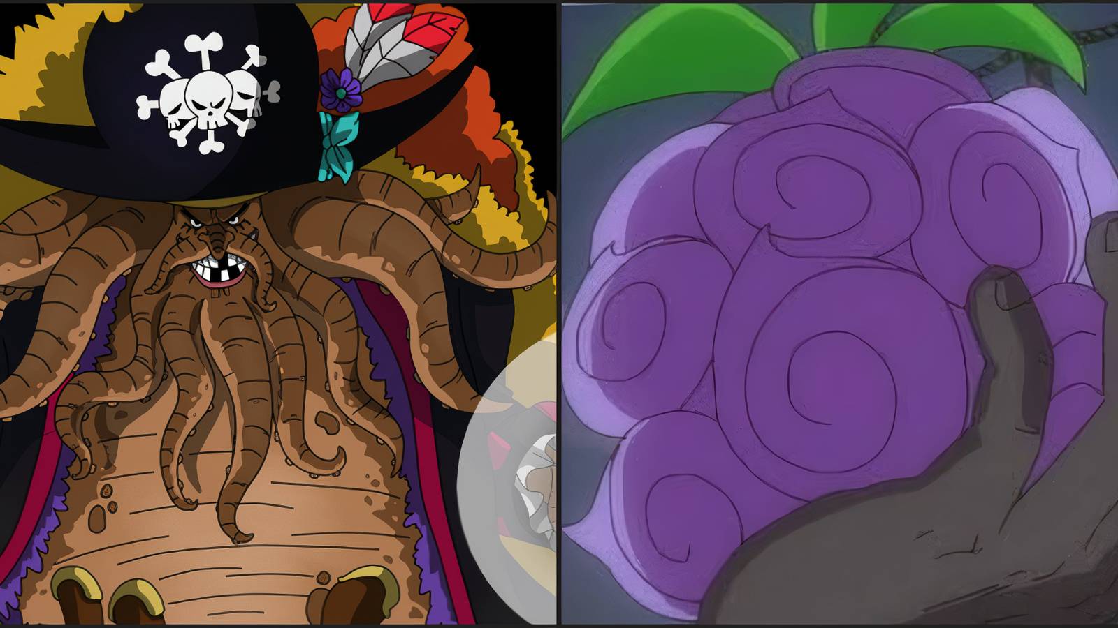 Blackbeard Third Devil Fruit one piece