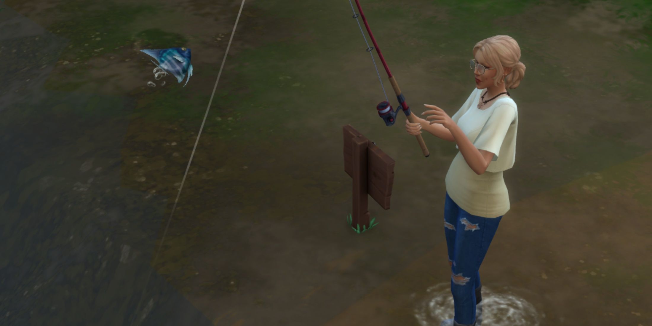 catching angelfish the sims 4