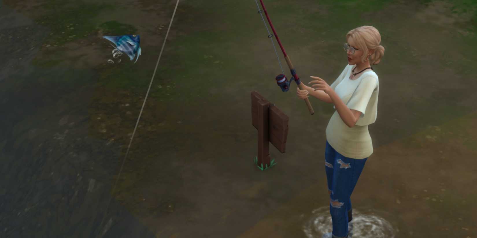 Angelfisch Sims How to Catch Angelfish in The Sims 4