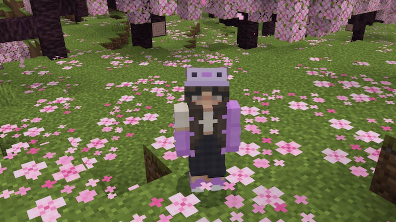 Cherry-blossom-biome-minecraft