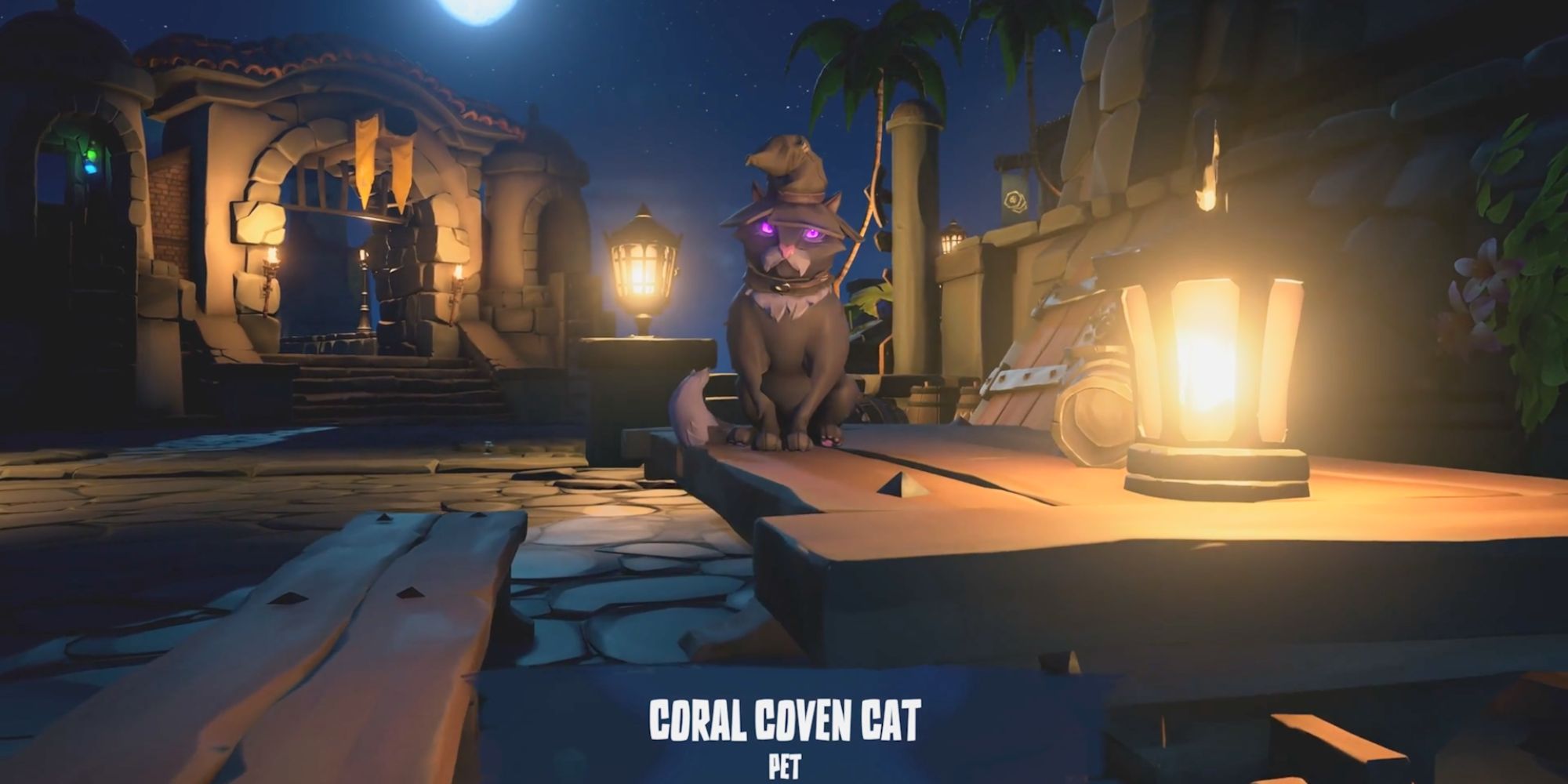 Coral Coven Cat pet in Sea of Thieves