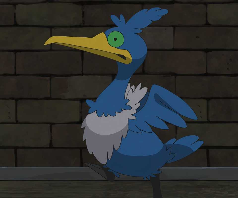 pokemon cramorant staring