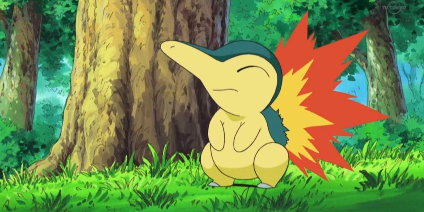 Cyndaquil In The Pokemon Anime