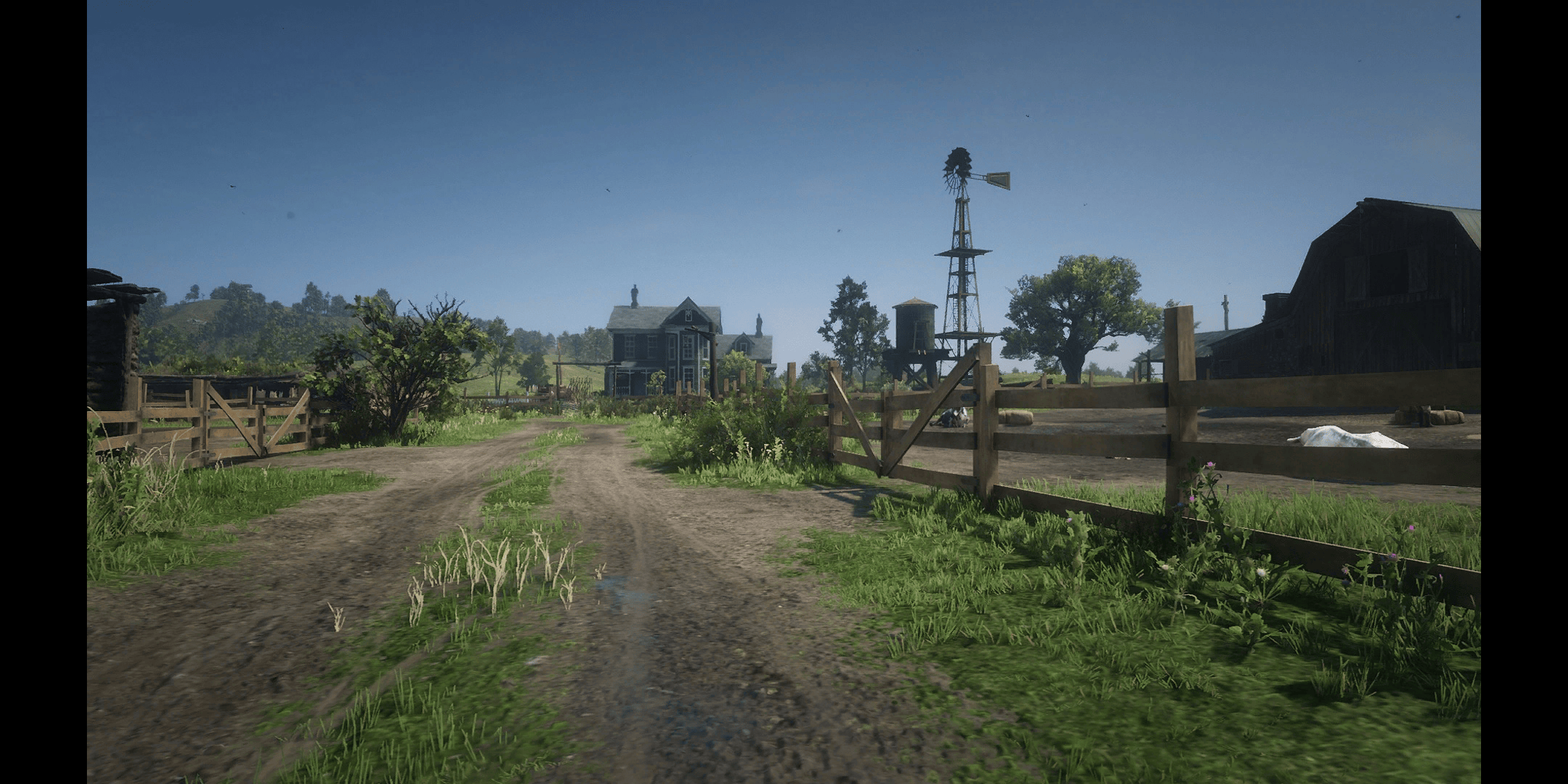 Best States In Red Dead Redemption 2