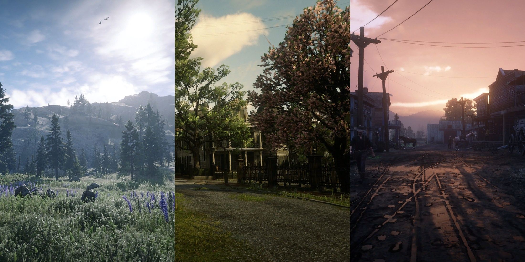 Best States In Red Dead Redemption 2