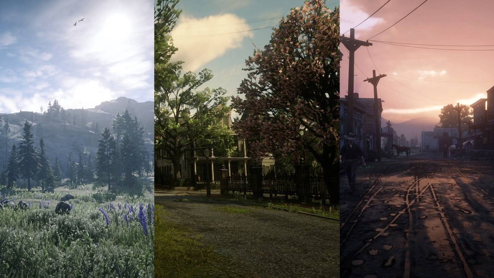 Every State in Red Dead Redemption 2, Ranked