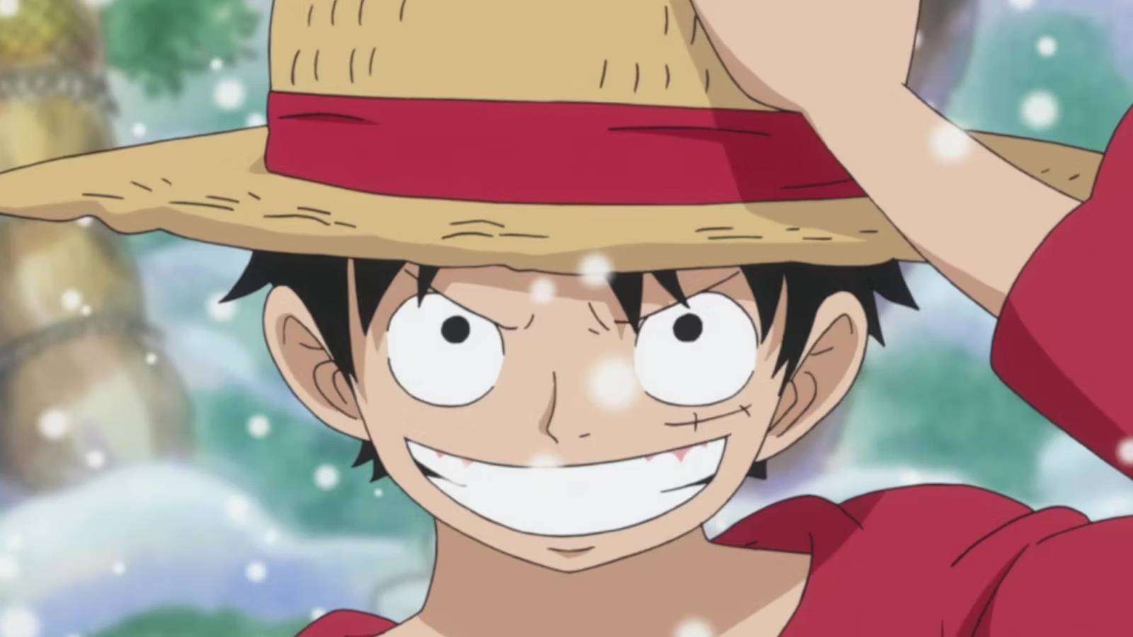 one piece luffy close up