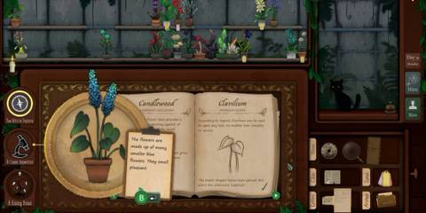 inspection of a flower on top of the open flower book in the shop