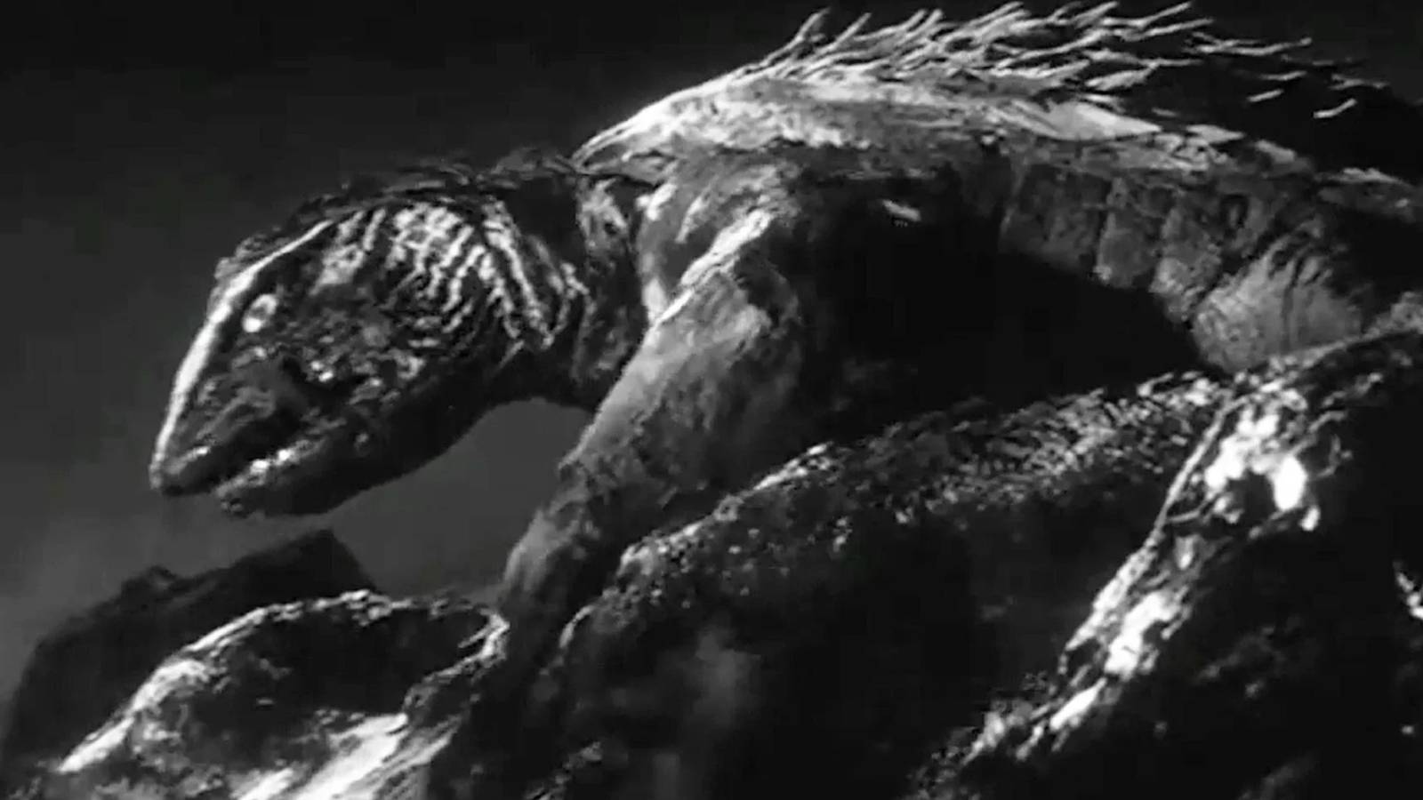 gamera-1965 Cropped