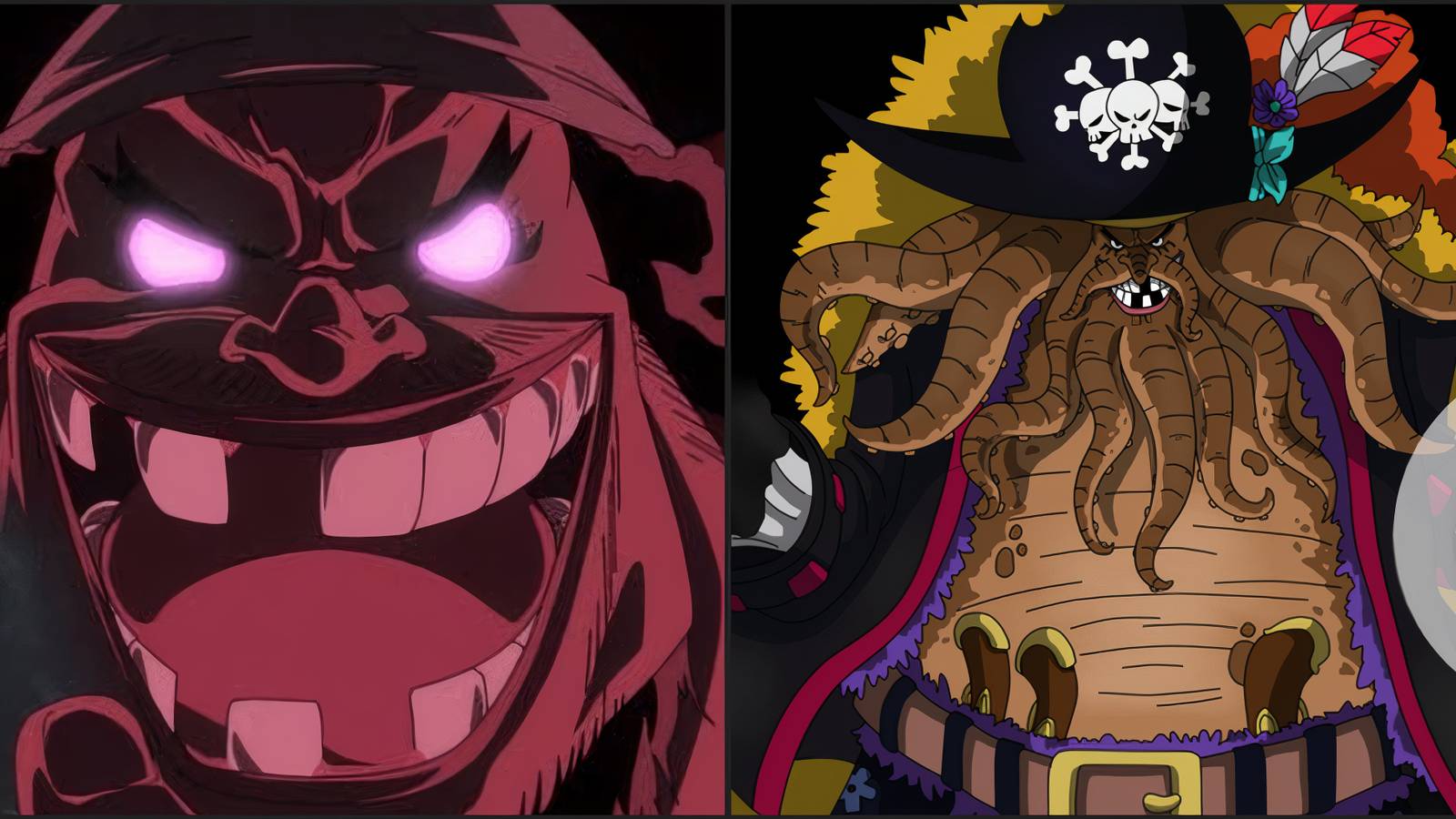 One Piece: Blackbeard's Special Body, Explained