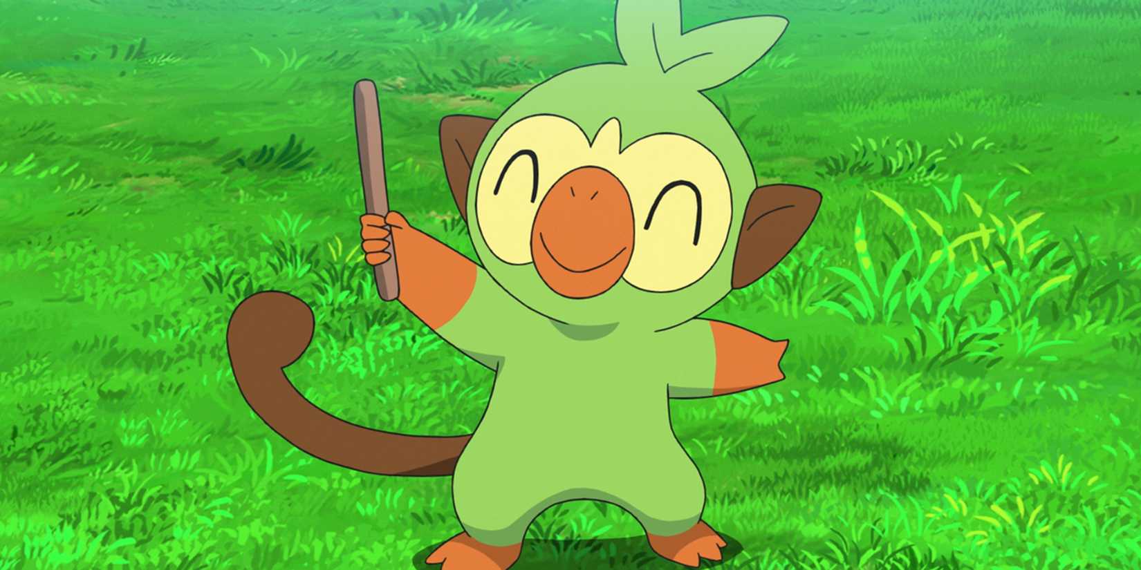 Grookey In The Pokemon Anime