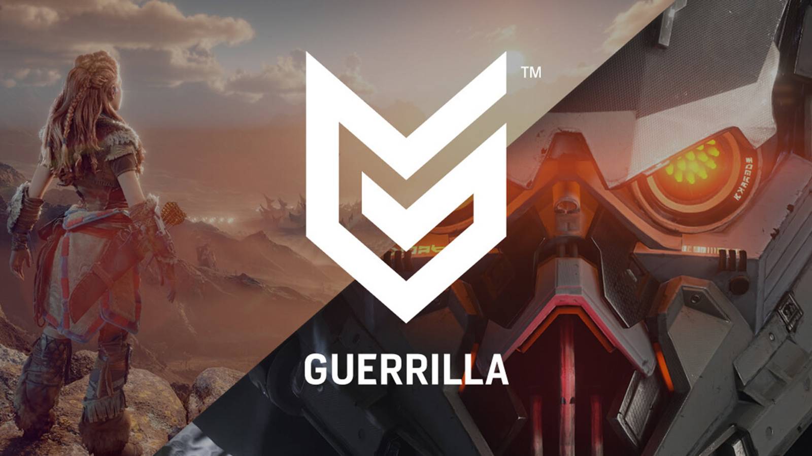 guerrilla games killzone and horizon franchise banner