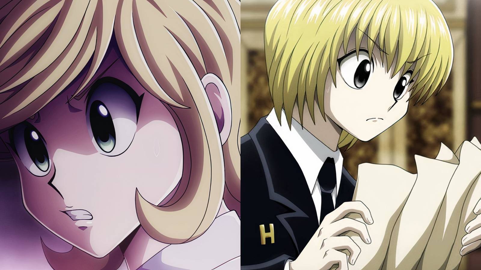 HUNTER×HUNTER Her Nen Ability Will BREAK Hunter X Hunter! (HXH 409) - YouTube
