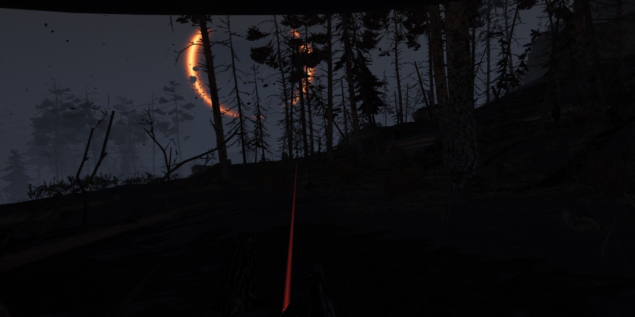 Into the Radius at night