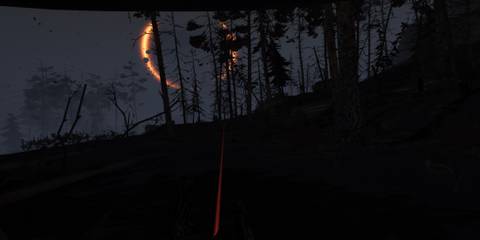 Into the Radius at night