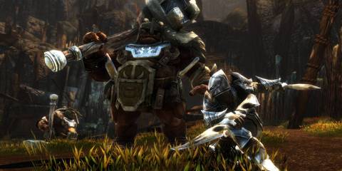Kingdoms of Amalur Re-Reckoning Large Enemy