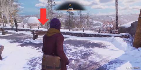 Life Is Strange ch2 Polaroids 3