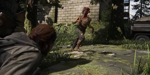 ellie watching a clicker