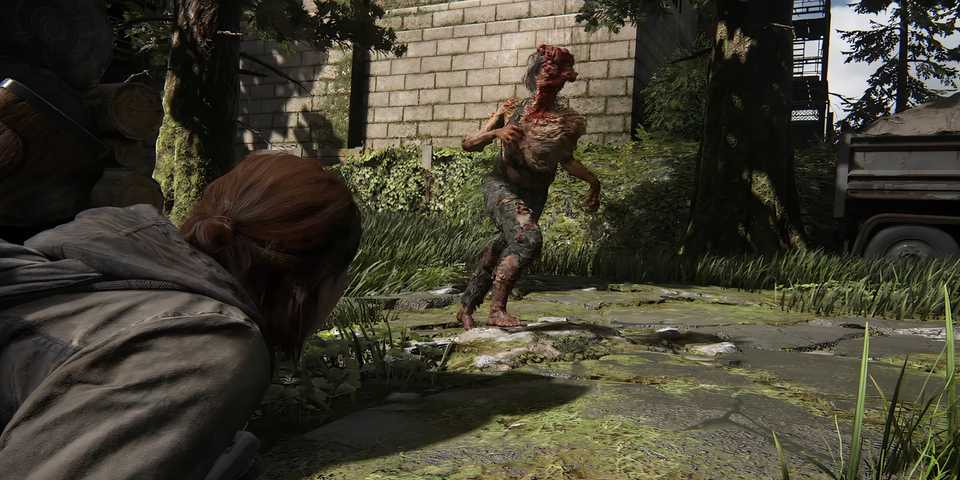 ellie watching a clicker