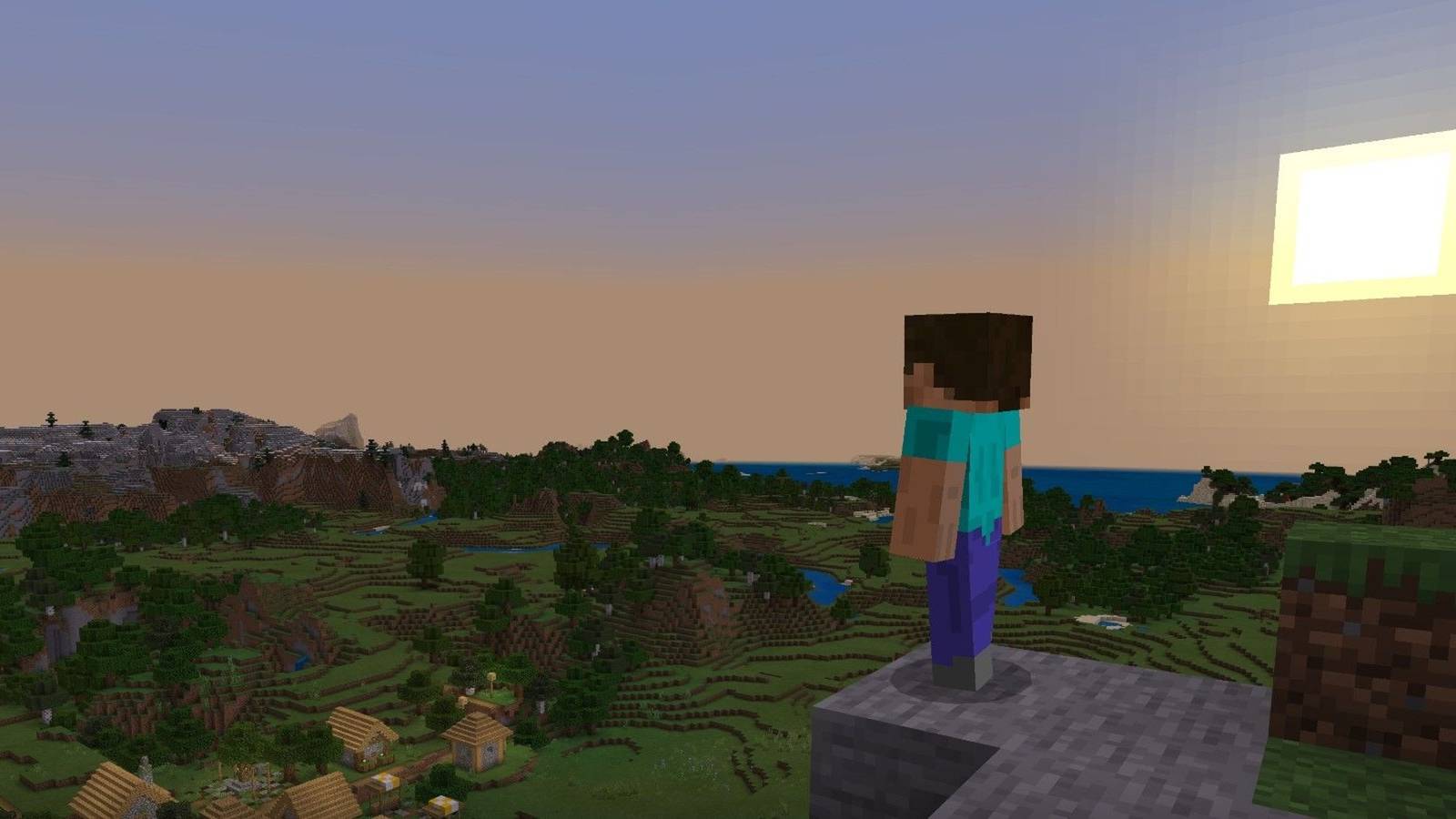 Minecraft duck build