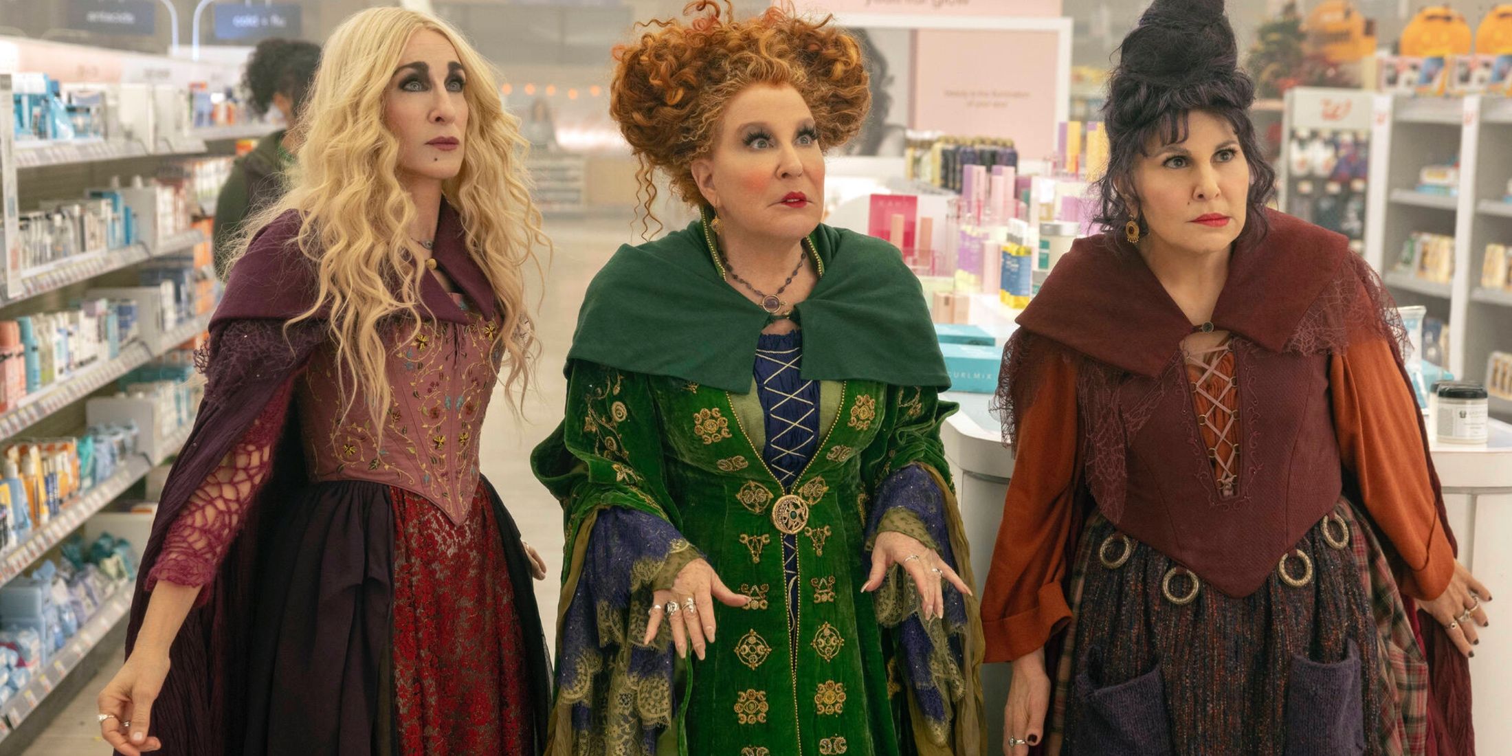 the sanderson sisters 