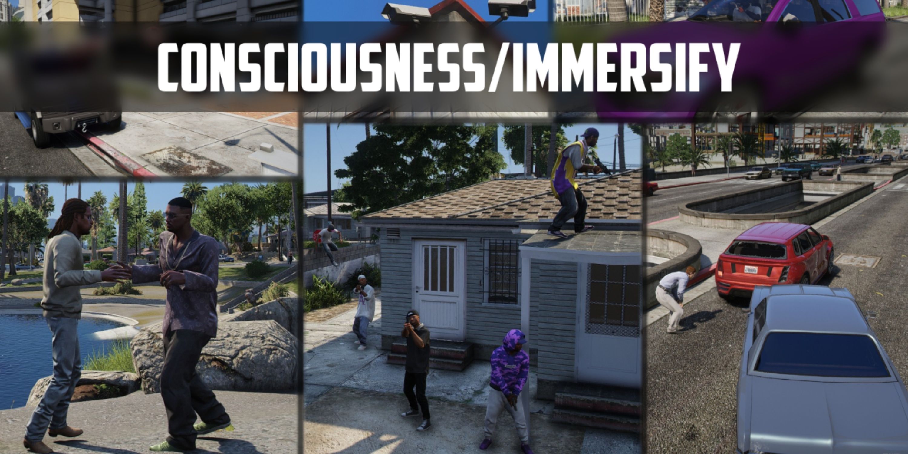 consciousness/immersify mod