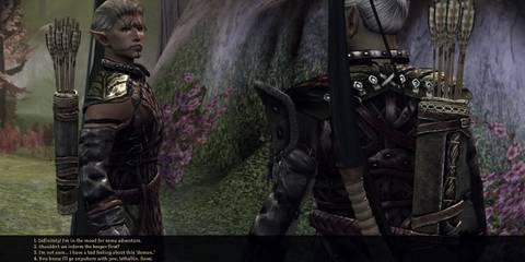 Be More Elfy mod for Dragon Age Origins