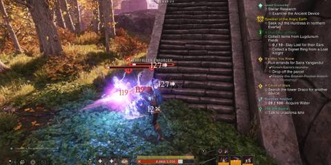 rapier and musket combo