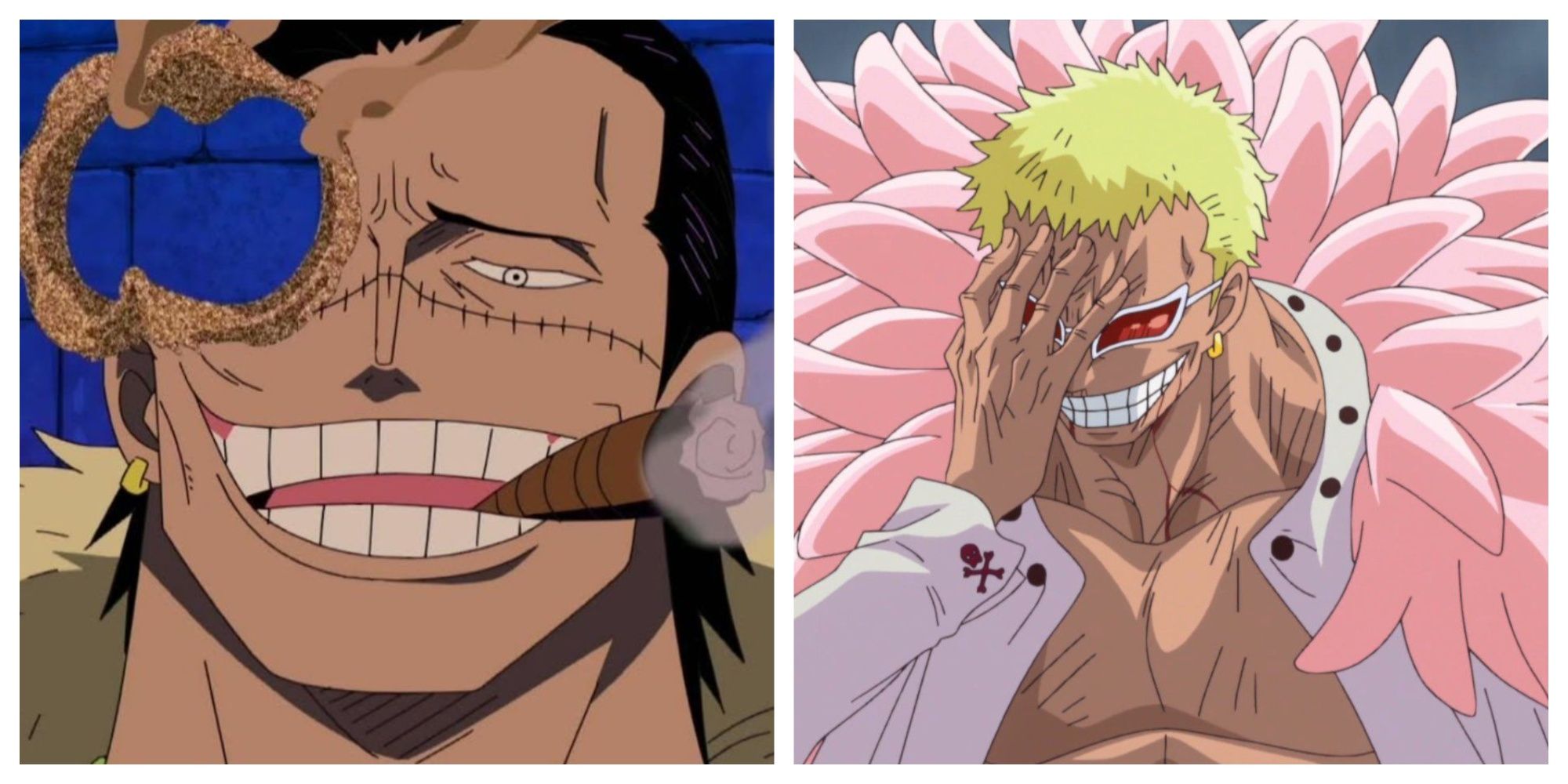 Characters With Similar Roles In One Piece