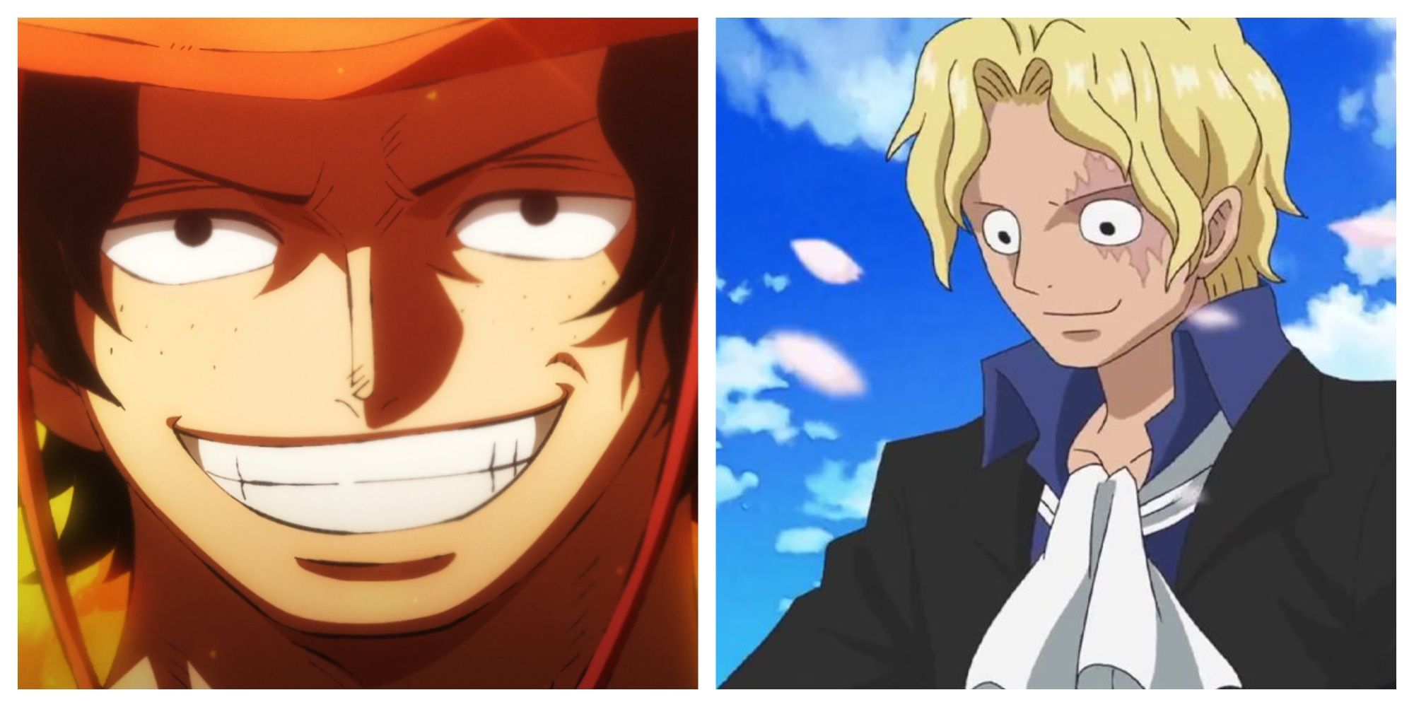 Characters With Similar Roles In One Piece