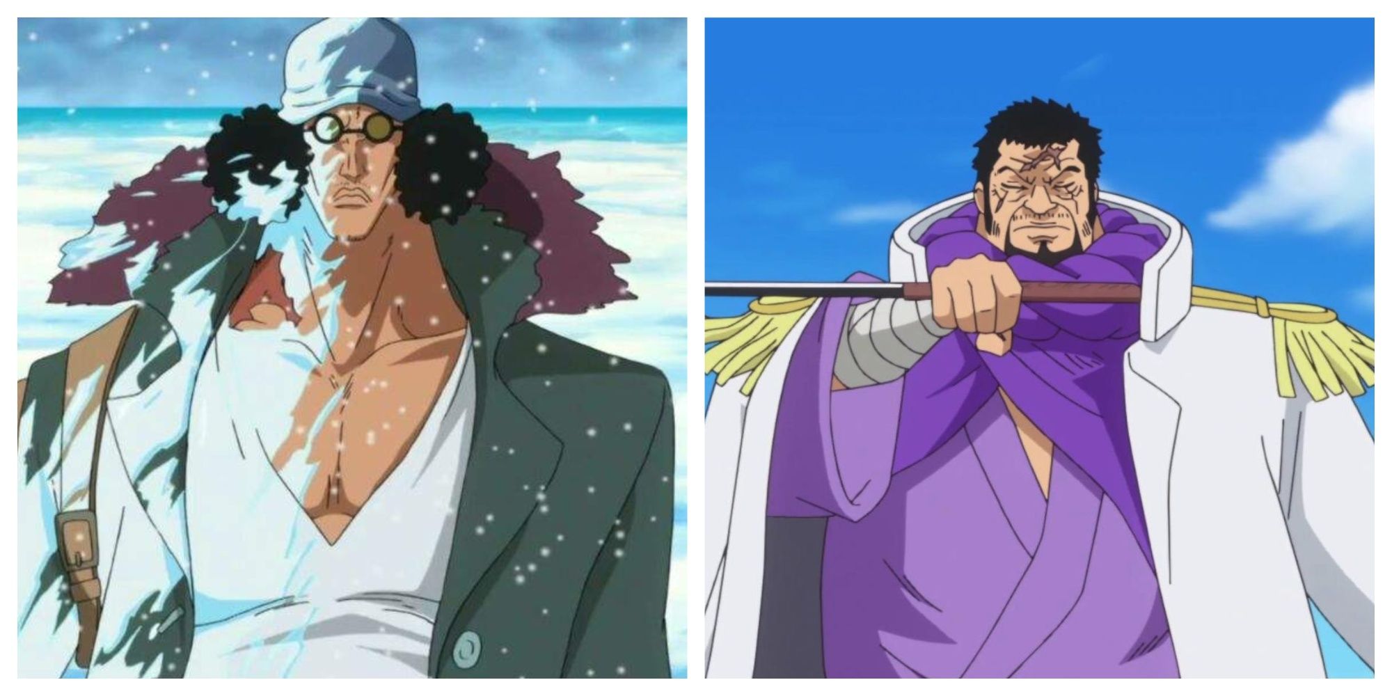 Characters With Similar Roles In One Piece