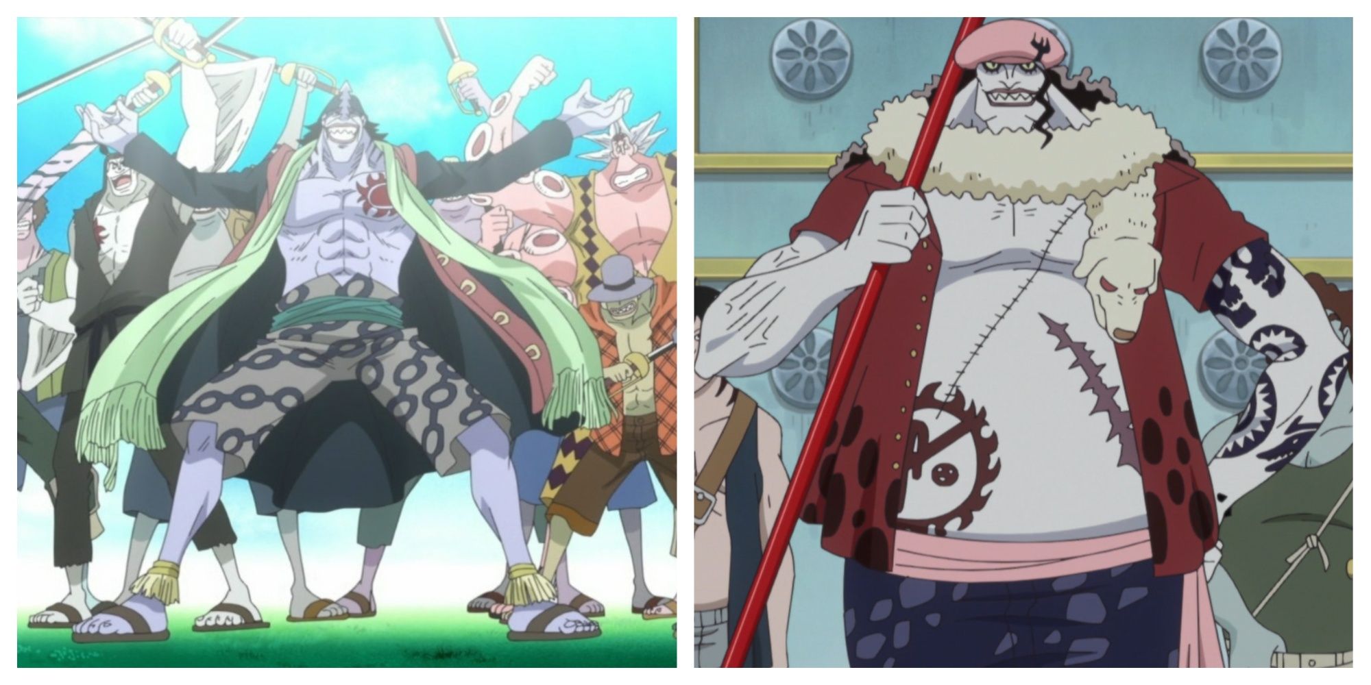 Characters With Similar Roles In One Piece