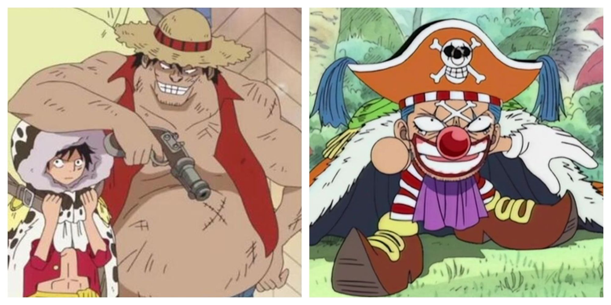 Characters With Similar Roles In One Piece