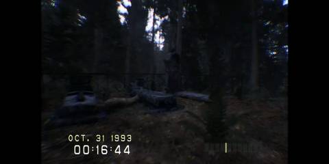 Don't Scream cemetary