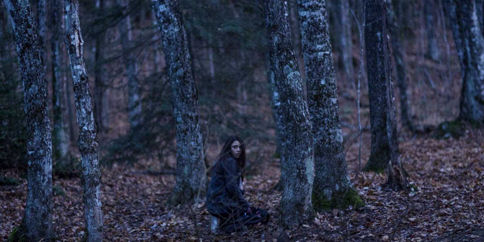 a woman crouches in the woods