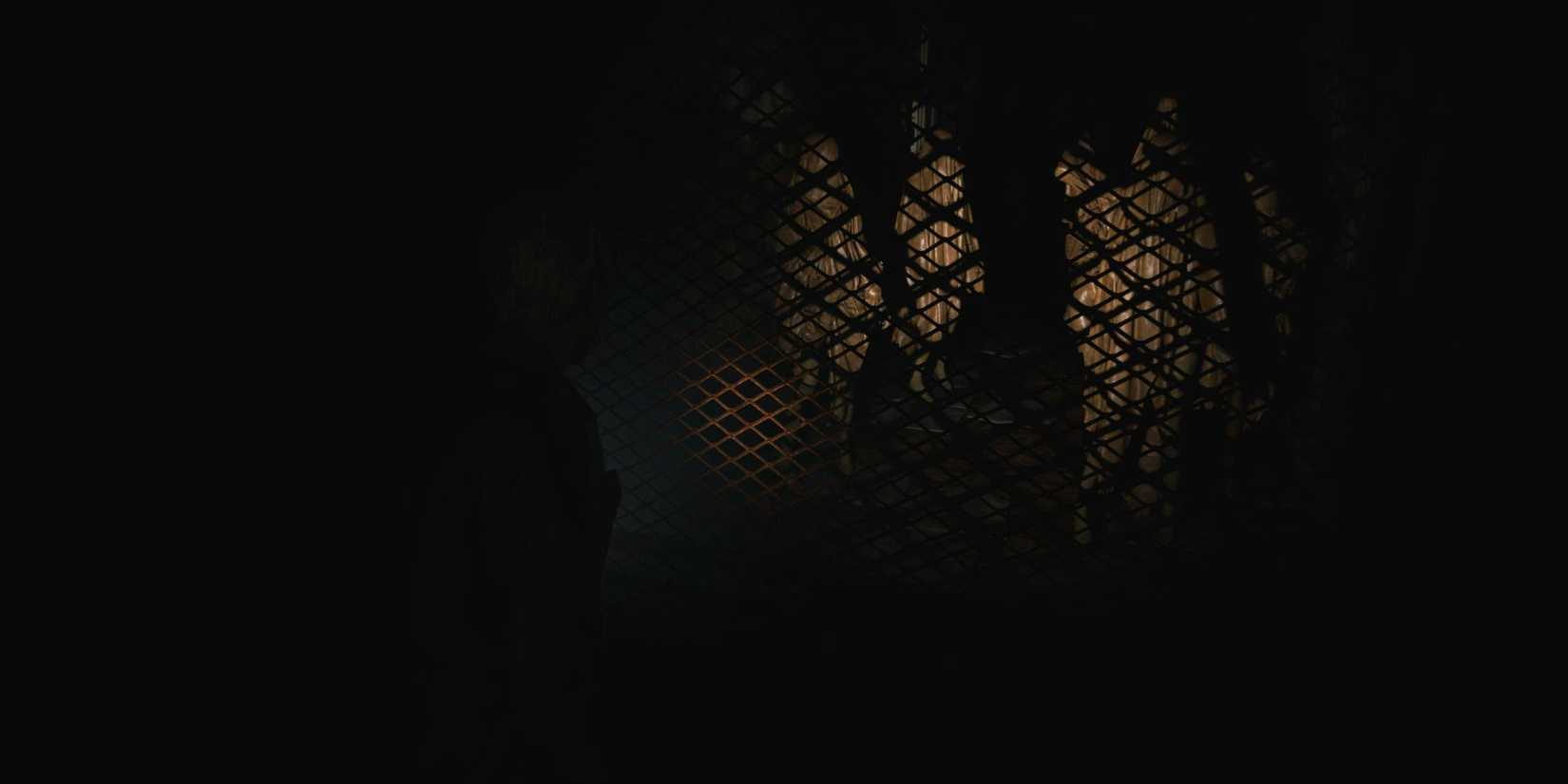 MixCollageSHFlashlight-11-Oct-2024-05-19-PM-3